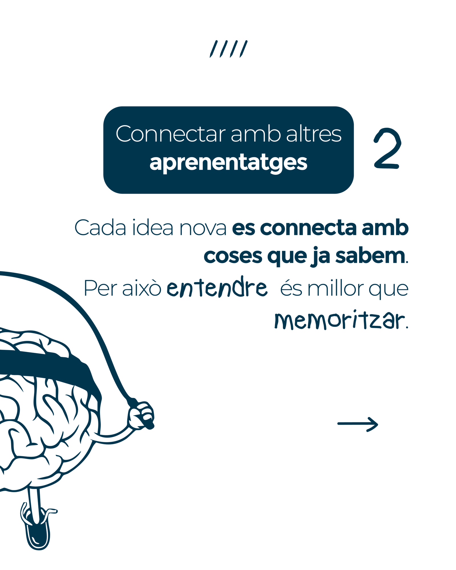 mesa de trabajo 1 8cervell