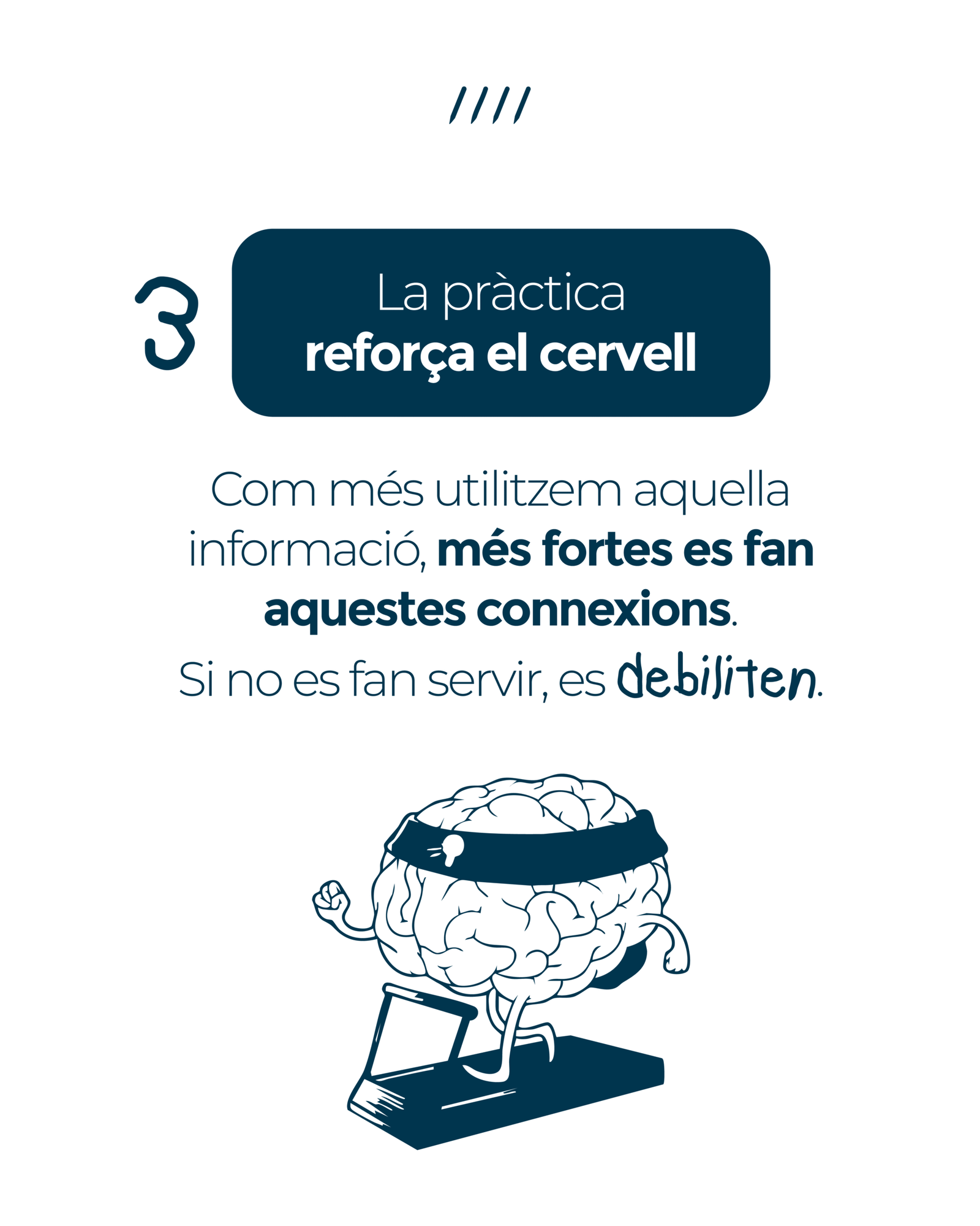 mesa de trabajo 1 9cervell